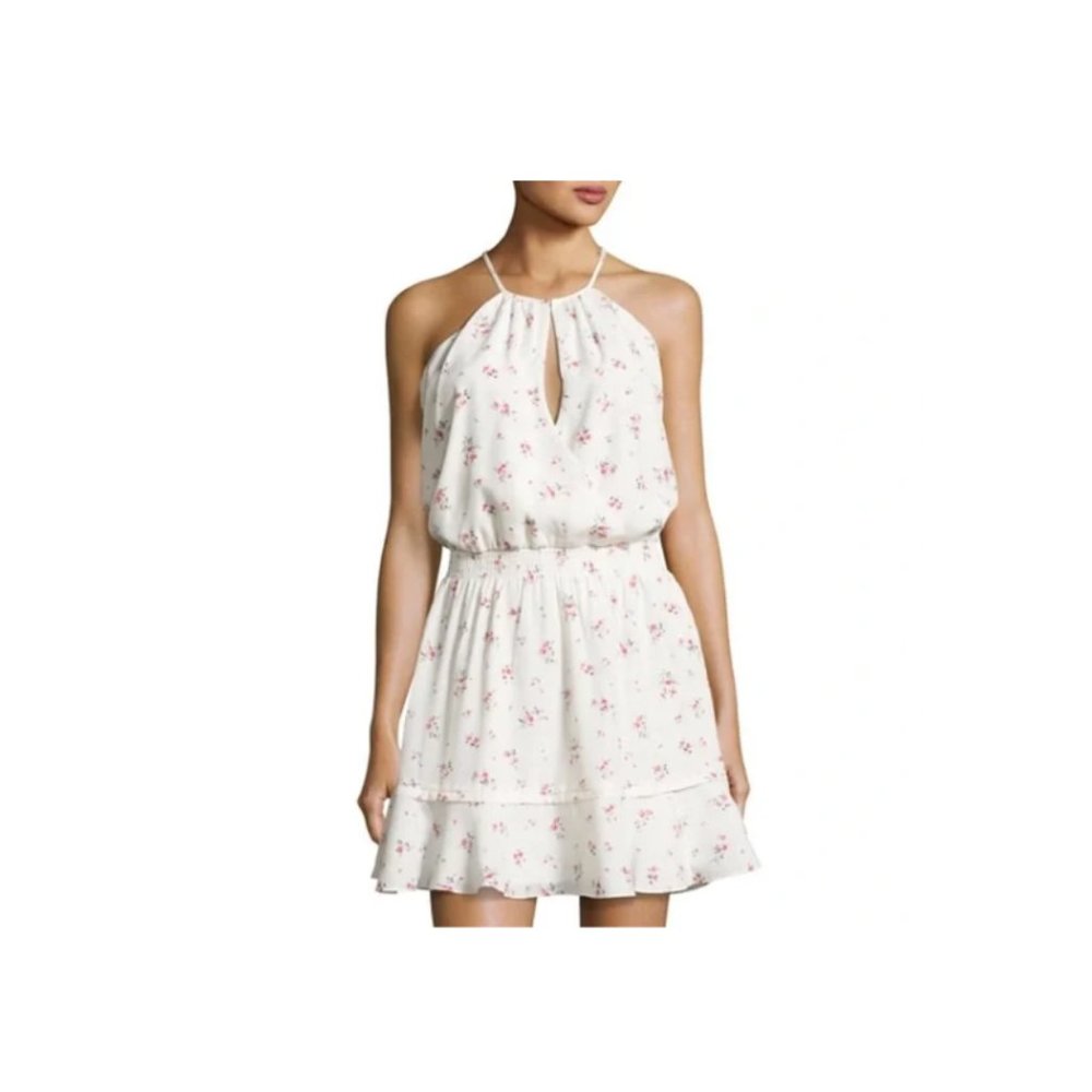 🆕 parker nathan dress in wedgewood floral